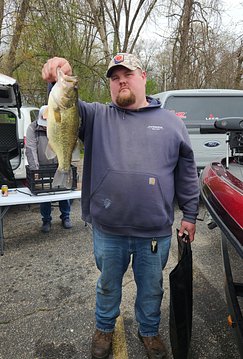 3.78 lbs.